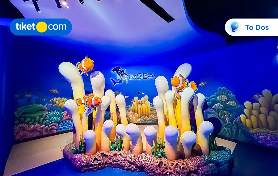 Enjoy a Fun Weekend by Exploring the Large Aquarium Inside the Mall, Let’s Visit BXSea!