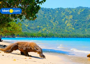Liburan ke Nusa Tenggara Timur? Cek 10 Hal Seru yang Bisa Kamu Cobain!