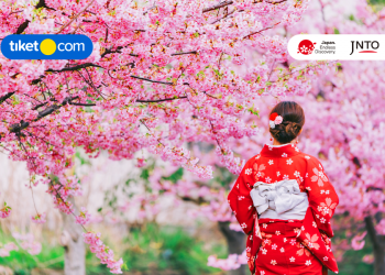 Musim Sakura di Jepang 2025 Akan Tiba! Yuk, Lihat Jadwal Mekarnya di Sini