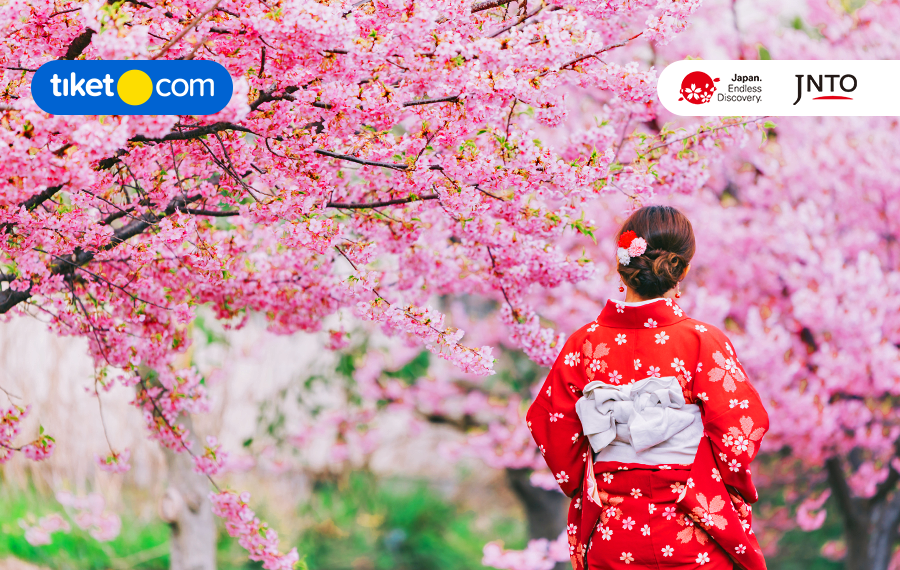 Musim Sakura di Jepang 2025 Akan Tiba! Yuk, Lihat Jadwal Mekarnya di Sini