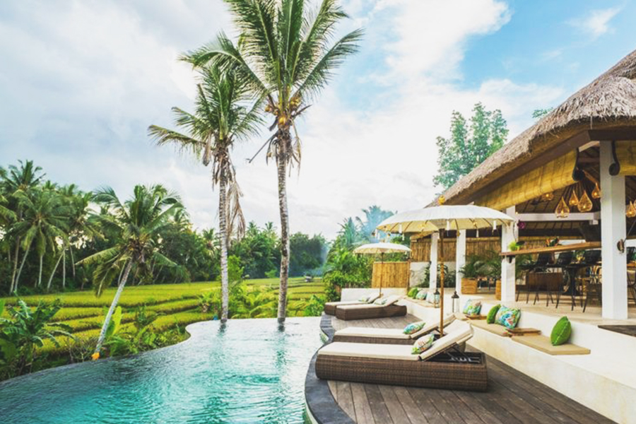 villas in paddy fields