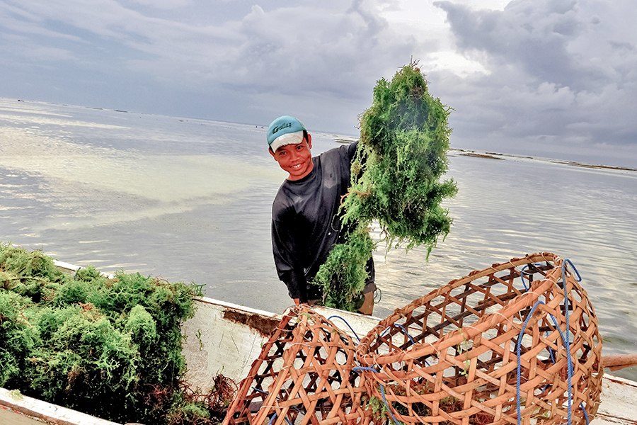Nusa Lembongan dan Nusa Ceningan