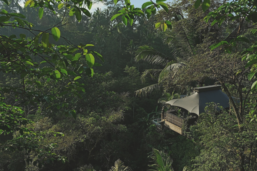 Hidden Villas in Bali - Capella Ubud