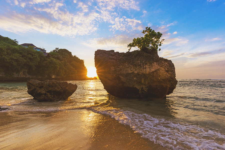 nature movies indonesia