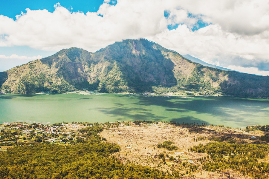 nature movies indonesia