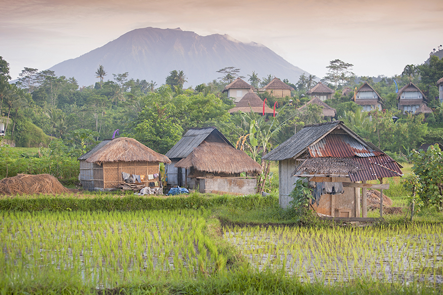 Perbedaan signifikan juga tampak dari cara mereka menyikapi upacara kematian. Bali Jawa memilih untuk membakar jenazah orang yang meninggal. Padahal Kaum Bali Mula tidak demikian, mereka menguburkannya.