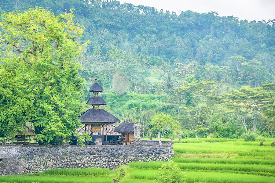 Desa Wisata di Bali