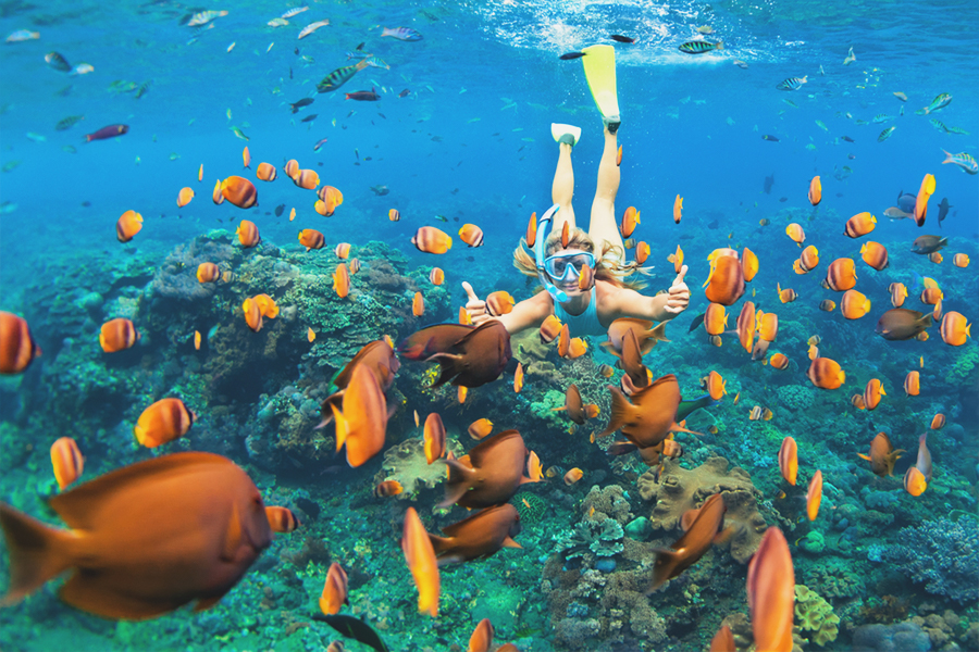 maldives snorkeling