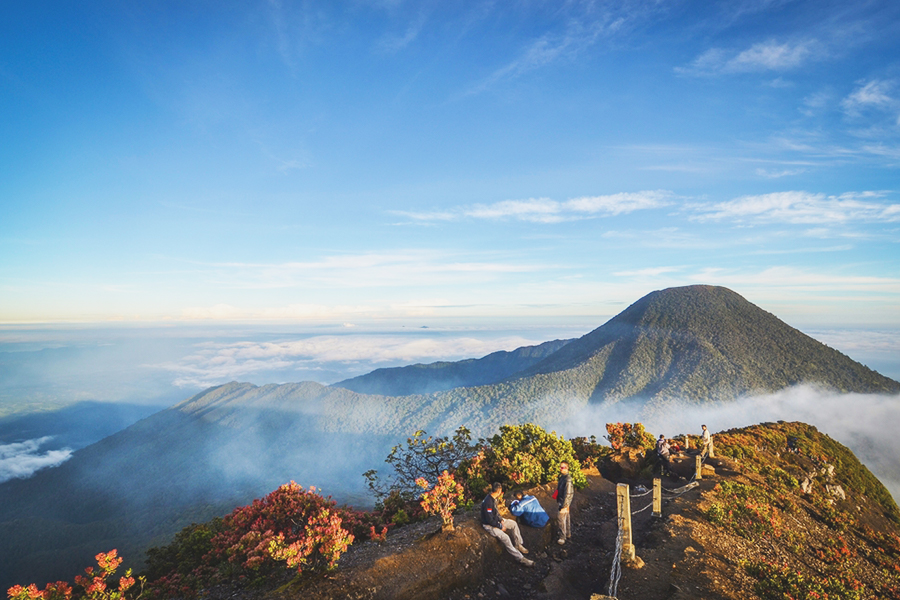 Tourist Attractions in West Java - Mount Gede Pangrango