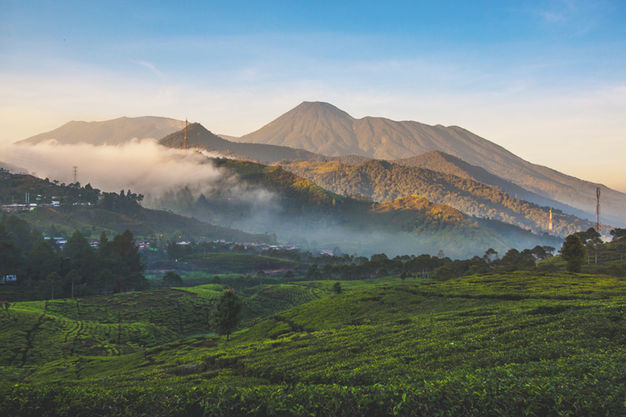 Tourist Attractions in West Java - Mount Gede Pangrango