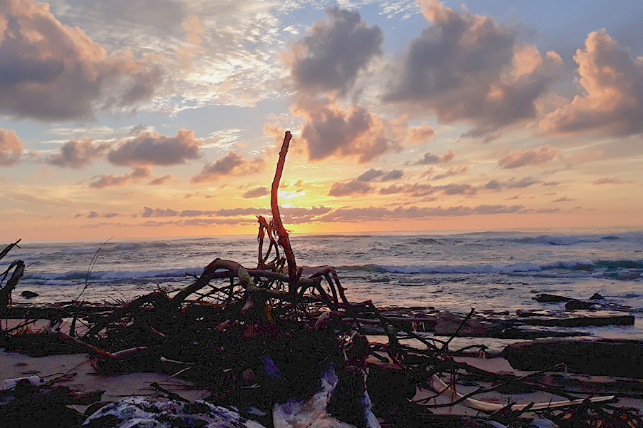 Pantai dengan Ombak Terbesar di Indonesia