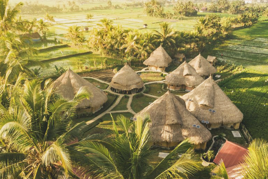 villas in paddy fields