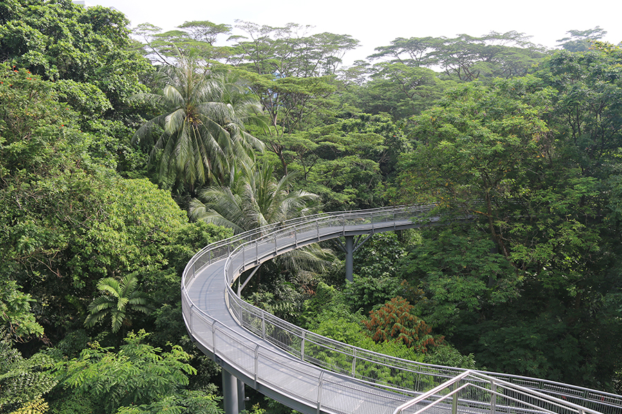 free attractions singapore