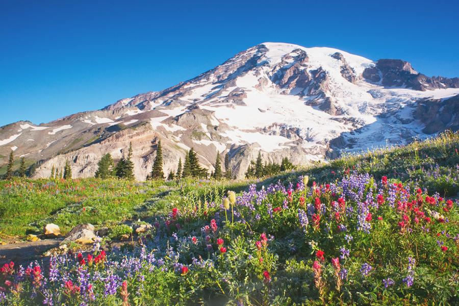 West Coast States - Mount Rainier
