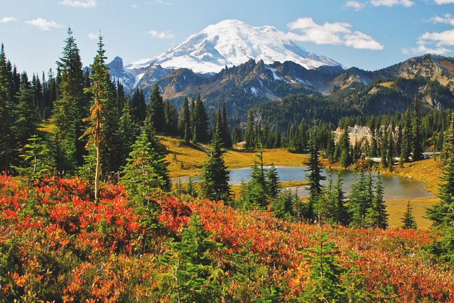 West Coast States - Mount Rainier