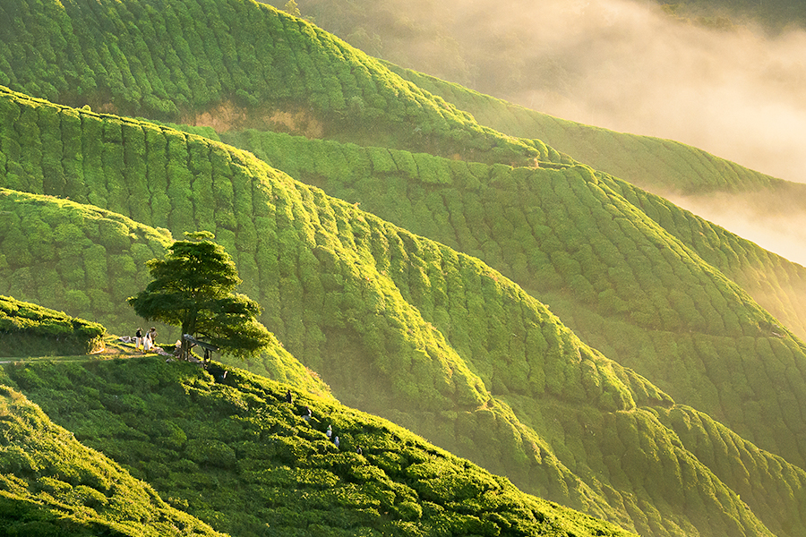 Spot Foto di Malaysia