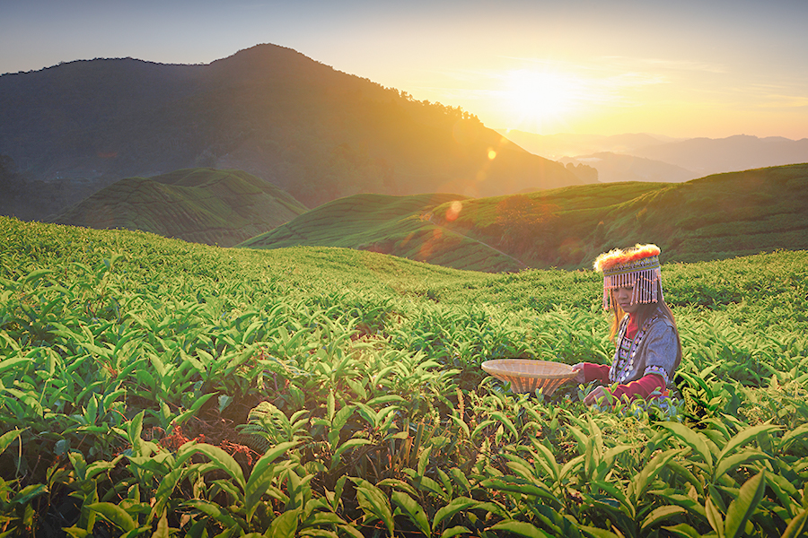 Spot Foto di Malaysia