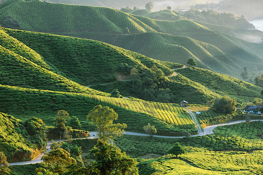 Spot Foto di Malaysia