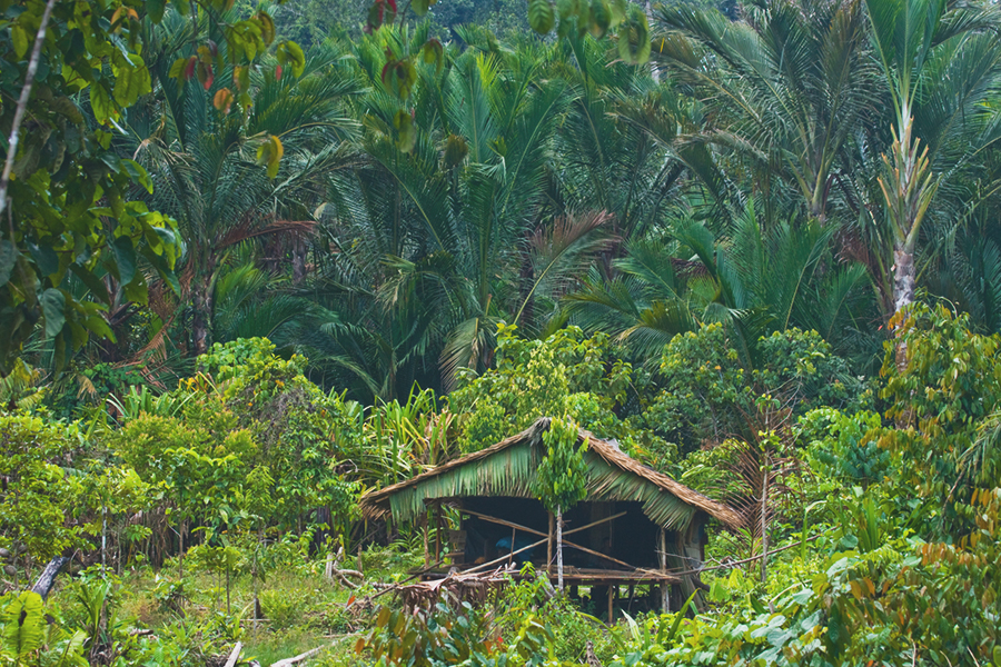 mentawai islands