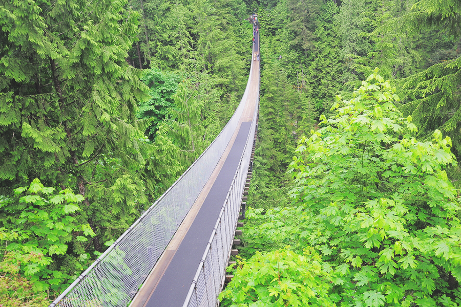 Places to Visit in Canada - Capilano Suspension Bridge Park