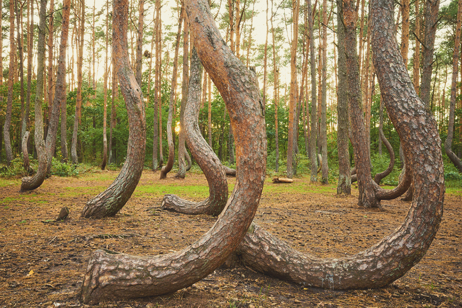 Magical Places in the World