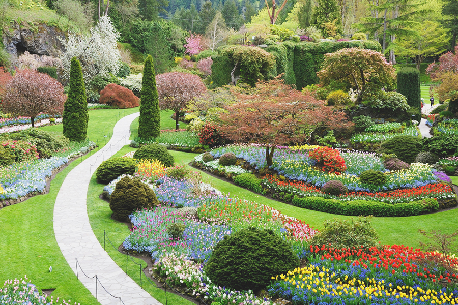 Places to Visit in Canada - The Butchart Gardenshe