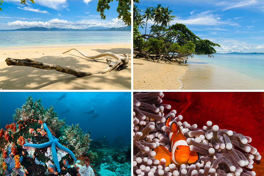 bunaken national park