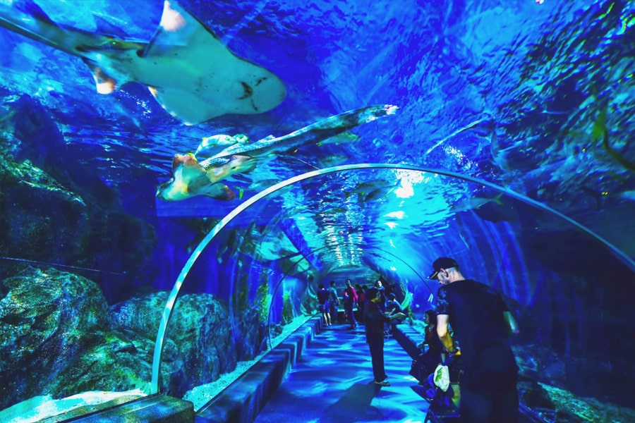 things to do in thailand