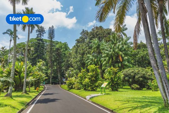 Aktivitas di Kebun Raya Bogor