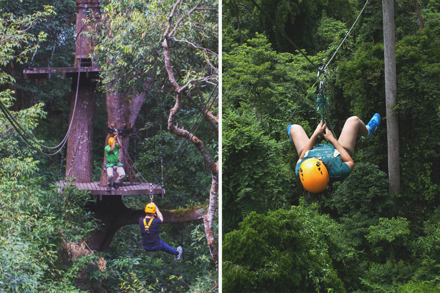 Flight of the Gibbon