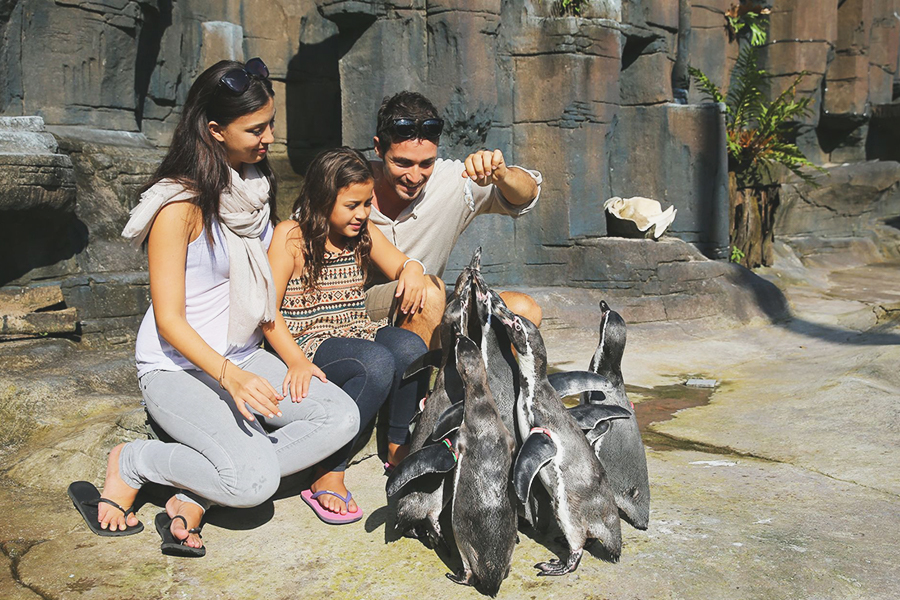 Taman Safari Prigen