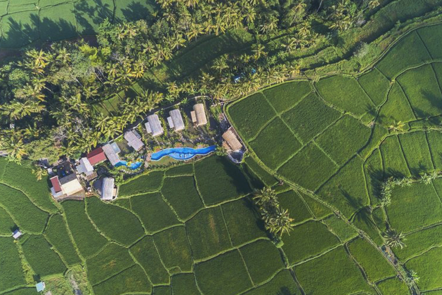 Relaxing_Beehouse dijiwa ubud