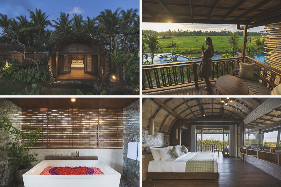 Beehouse dijiwa ubud