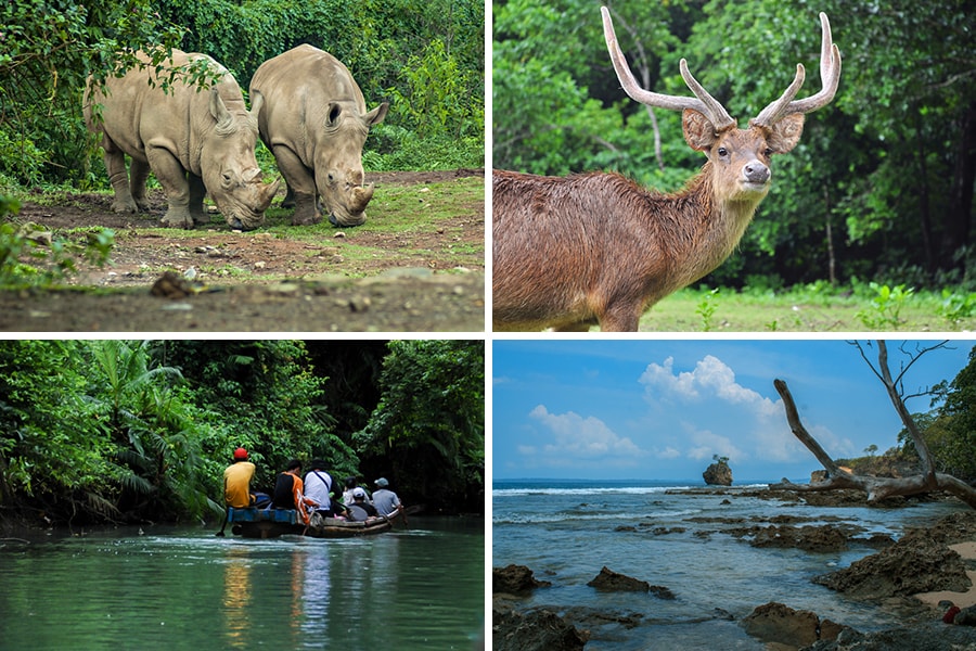 java adventure travel