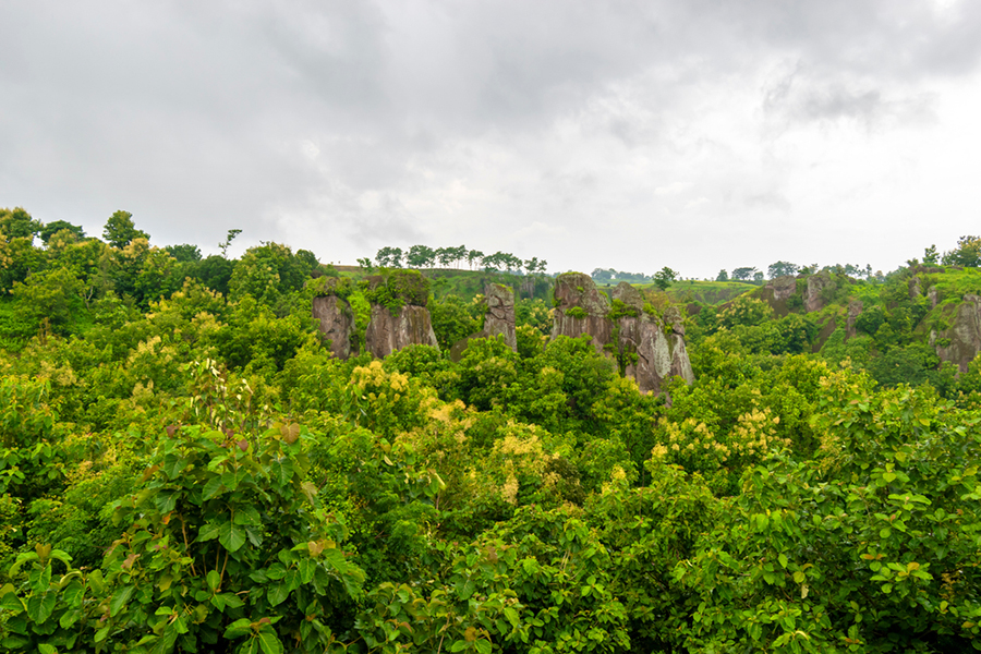 natural destinations bondowoso