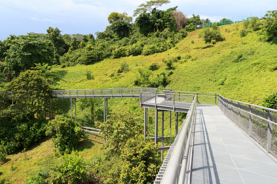 jalur hiking singapura