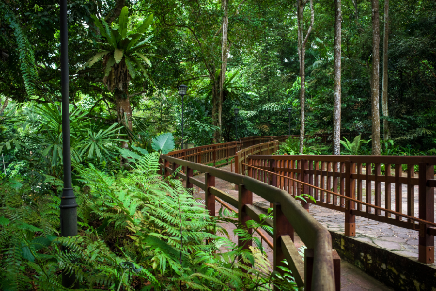 jalur hiking singapura