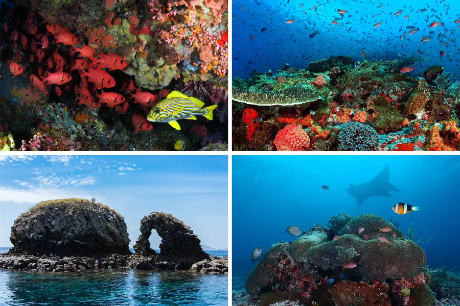 kupang flores labuan bajo road trip