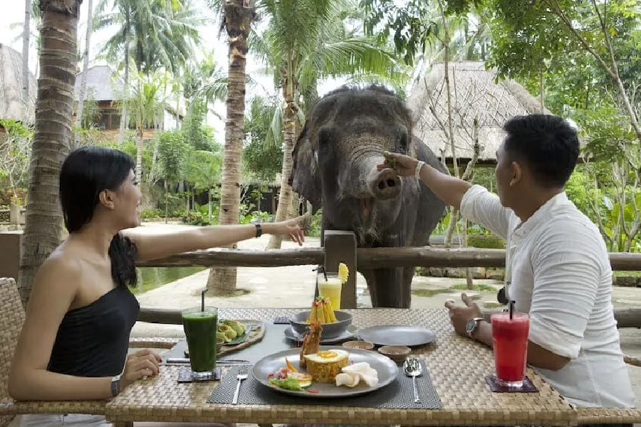 Lombok Wildlife Park
