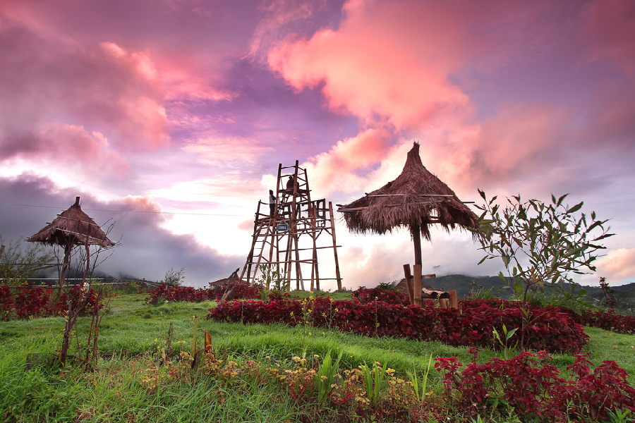 Desa Wisata Dieng Kulon