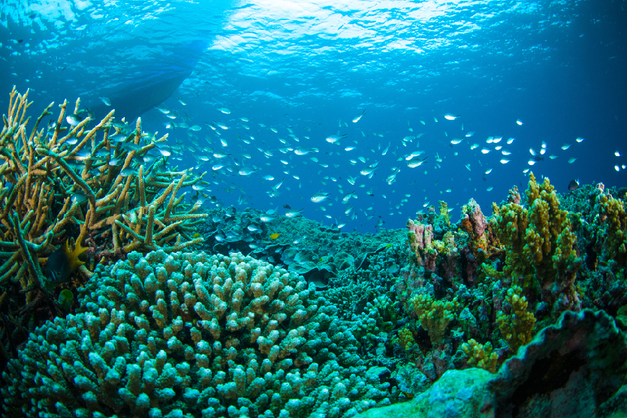 manado natural wonders