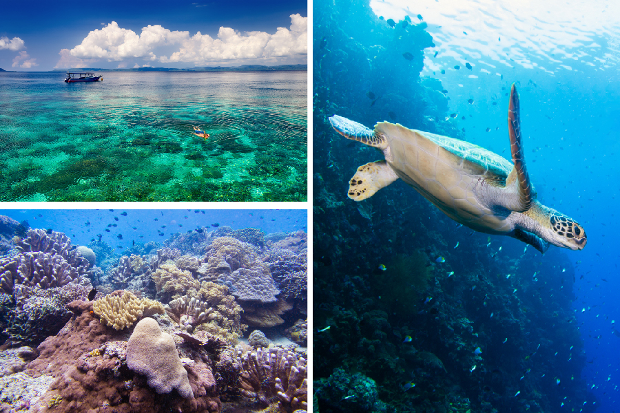 manado natural wonders