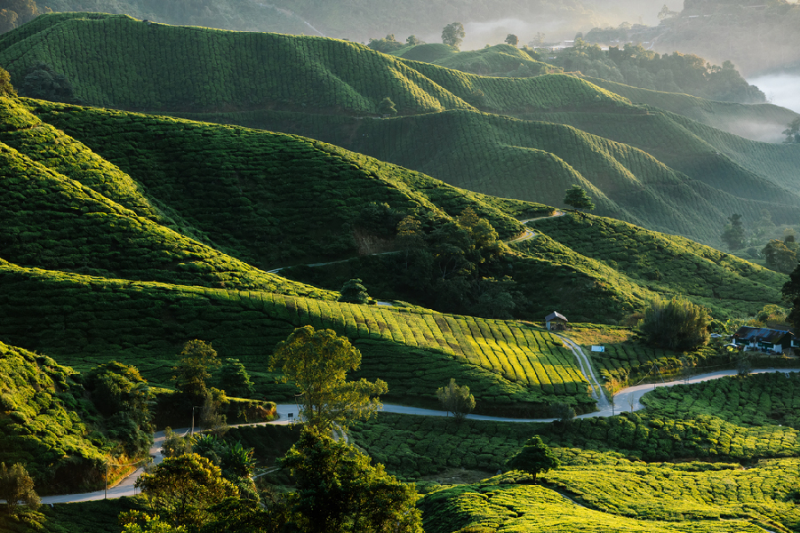 wisata alam malaysia