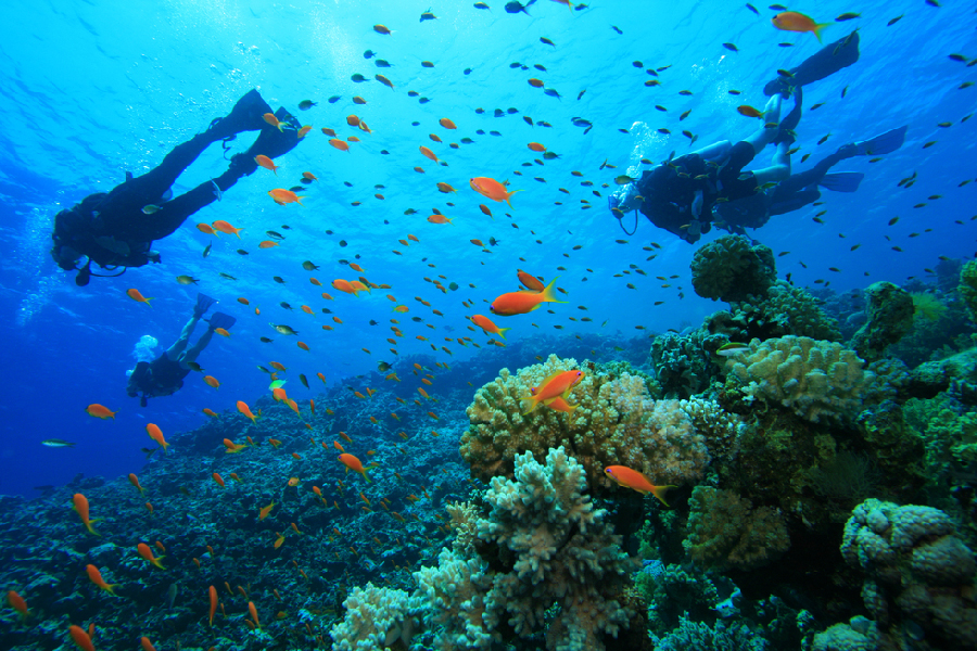 spot diving dan snorkeling di labuan bajo