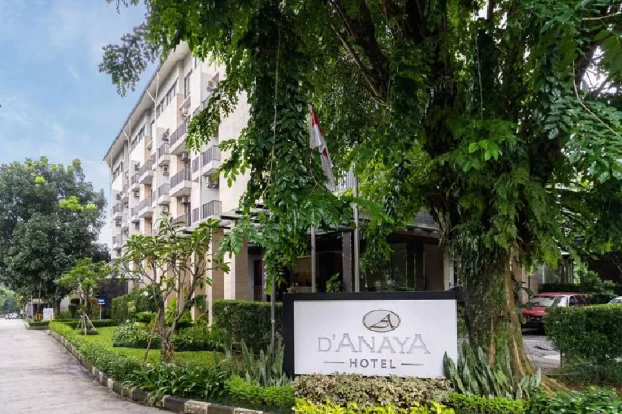 D Anaya Hotel