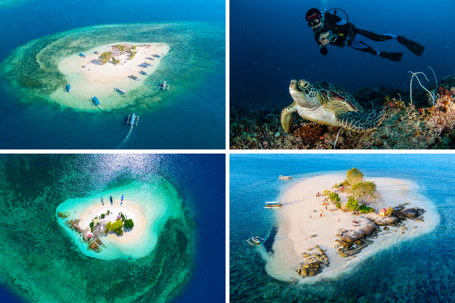 spot diving lombok