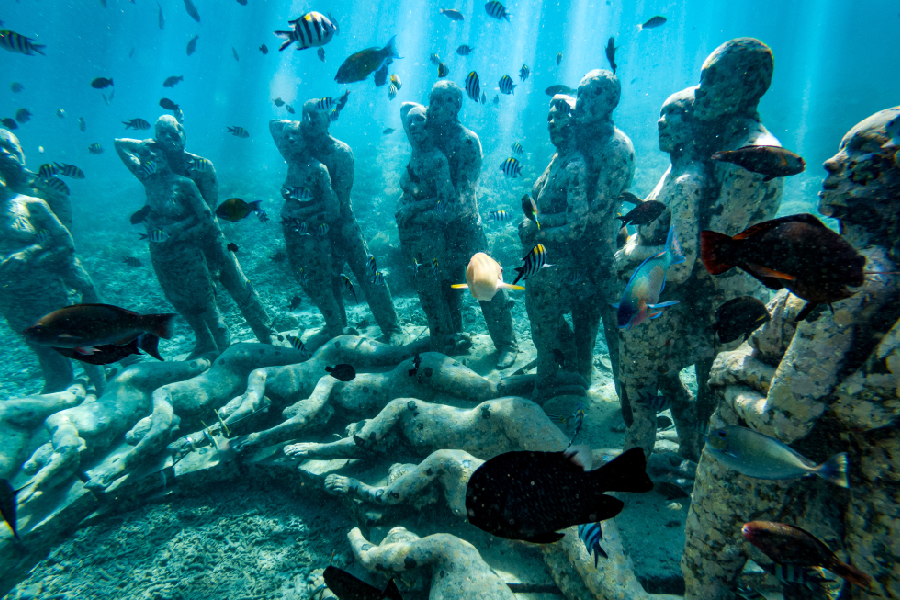 spot diving lombok
