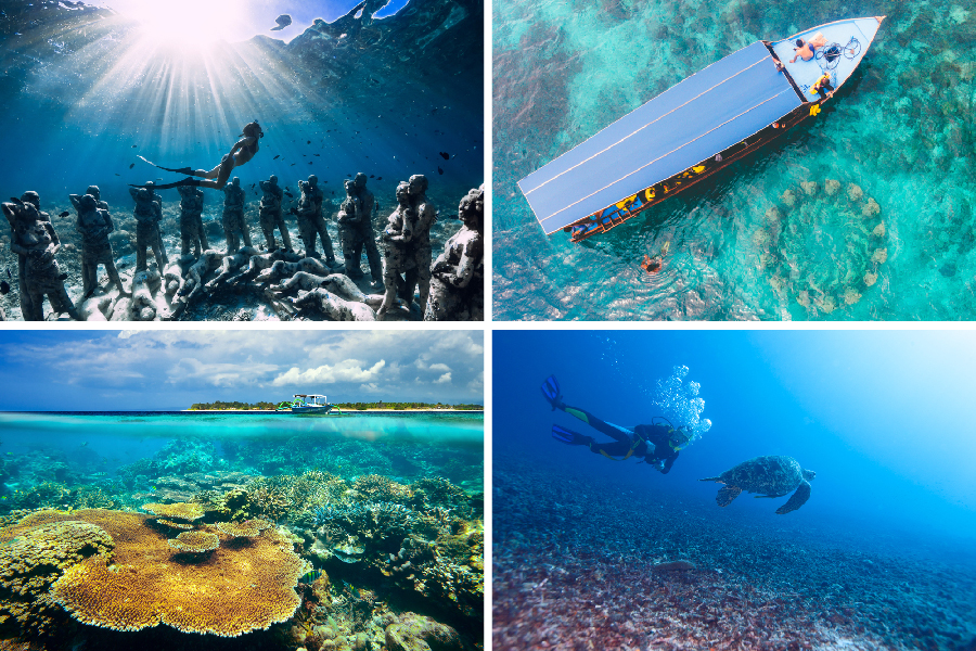 spot diving lombok