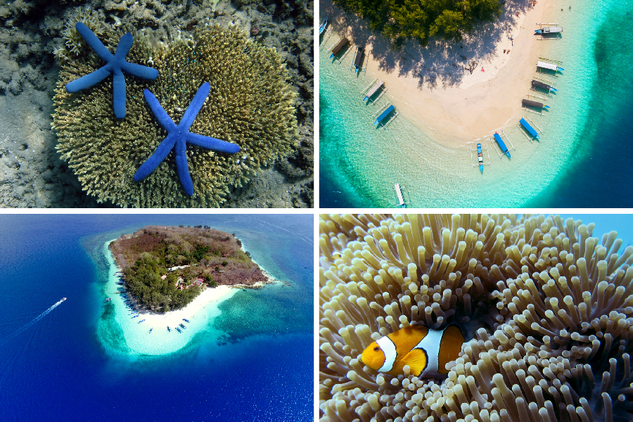 spot diving lombok