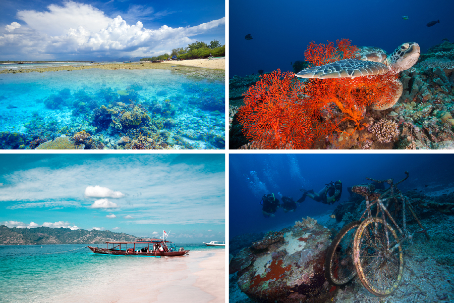 spot diving lombok